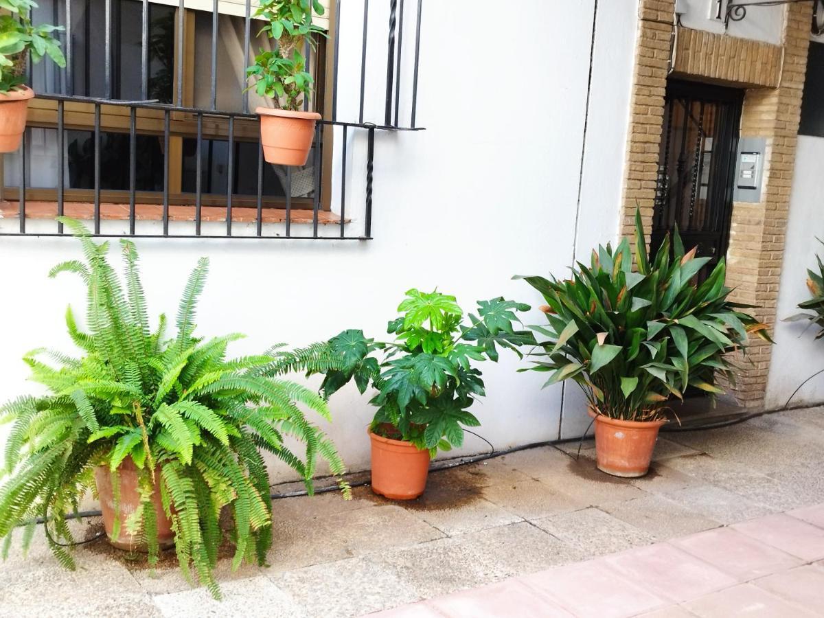 コルドバEl Balcon De San Pabloアパートメント エクステリア 写真