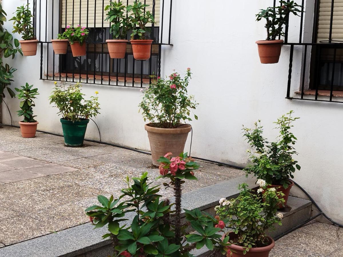 コルドバEl Balcon De San Pabloアパートメント エクステリア 写真
